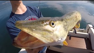 HechtSchleppen Bielersee  Pike trolling on the Bielersee [upl. by Wickham]