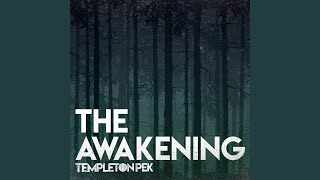 The Awakening [upl. by Ahsaek]