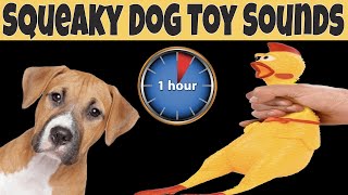 Squeaky Toy Dog Toy Sounds 1 Hour  DOG TOYS ONE HOUR [upl. by Arrio]