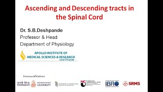 Ascending and Descending Tracts in the Spinal cord [upl. by Schultz318]