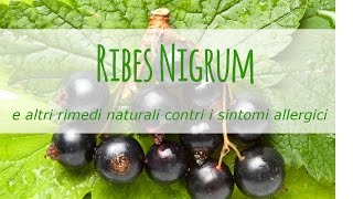 Ribes nigrum e altri rimedi naturali contri i sintomi allergici [upl. by Joletta473]