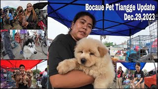 Latest Update Sa Pet Tiangge Bocaue Bulacan Dec292023 [upl. by Valle]