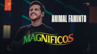 ANIMAL FAMINTO  Banda Magníficos DVD A Preferida do Brasil [upl. by Seligman196]