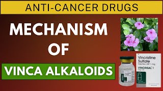 Mechanism of Action of Vincristine Vinblastine and Vinorelbine [upl. by Eikceb]