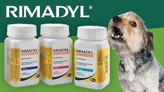 Rimadyl for Dogs [upl. by Phyllis]