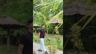 💗 Na Lagya subscribe goviral nature balencity nepal gogreen reels travel darshanzhavlogs [upl. by Kendrah349]