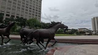 The Mustangs of Las Colinas Sculpture Irving TX [upl. by Elleyoj222]