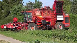 Holmer T3  Rübenernte  Harvesting Beets 2021 pt1 [upl. by Anay]