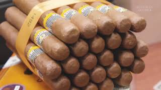 Why Cuban Cigars Are So Expensive  So Expensive [upl. by Junius]