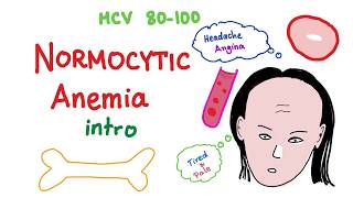 Normocytic Anemia Intro [upl. by Hevak]