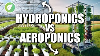 Which Method Reigns Supreme Hydroponics or Aeroponics [upl. by Ennasil401]