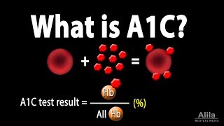 A1C Test for Diabetes Animation [upl. by Tawney924]