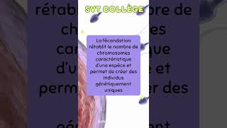 FLASHCARD SVT Collège 2335 mémoire commentmemoriser brevet college dnb science quiz [upl. by Nochur]