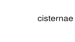 How to pronounce cisternae [upl. by Odicalp]