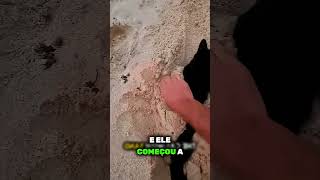 ele estava brincando na praia até que esse gato apareceu 🐈‍⬛😂 [upl. by Annavahs]