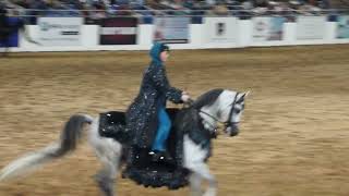 SCOTTSDALE ARABIAN HORSE SHOW 22424 [upl. by Marsh]