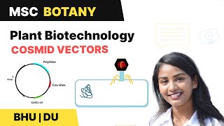 Cosmids  hybrid cloning vectors  Plant Biotechnology  BHU and DU MSc Entrance  In Hindi [upl. by Oilime]