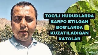 Togli hududlarda barpo etilgan boglarda kuzatiladigan xatolar [upl. by Virginie852]