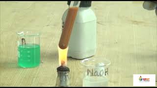 Experiment 8 Identify aldehydes using Fehlings test and Tollens test [upl. by Anamuj]