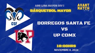 LIGA MAYOR ABE VARONIL DIV I EN VIVO 🔴  BORREGOS CSF VS UP CDMX  AVANT MATCH [upl. by Geiger]