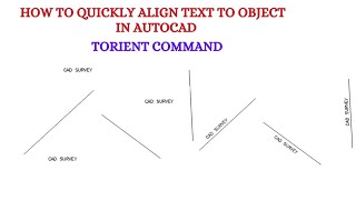 Quickly align text to object in autocad [upl. by Ellesig]