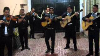 Mariachi Día de las Madres [upl. by Reba]