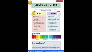 Acids vs Bases Chemistry [upl. by Nomde]