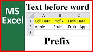 How to Add Prefix Using Functions In Excel [upl. by Eirruc19]