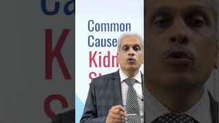 What is the Main Cause of Kidney Stones  Dr Pravin Jain [upl. by Rabiah]