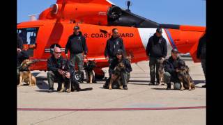 Coast GuardK9 training 4242014 [upl. by Dnalyk666]