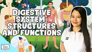 Digestive System Structures and Functions  Biology [upl. by Annil582]