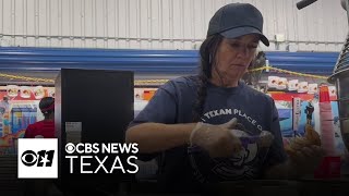 Queen of Sweets Tammy Stiffler’s 30year legacy at the State Fair of Texas [upl. by Nodnek]