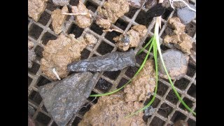 6232017 Black Kanawha Chert Drill Ohio Arrowhead Hunting [upl. by Ahsaele]