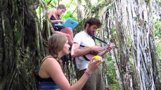 John Craigie and Shook Twins sing quotSo Many Livesquot from a banyan tree on Maui [upl. by Odranar123]