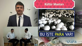 KÜLTÜR MANTAR ÜRETİM SÜRECÜ BUİŞTEPARAVAR [upl. by Zacarias605]