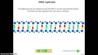 Bioplek Bouw en werking DNA [upl. by Tani]