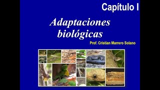 Tipos de adaptaciones biológicas Capítulo I [upl. by Bordiuk]