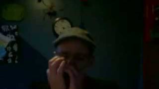 Steve Harvell plays d flat harmonica [upl. by Aratahc]