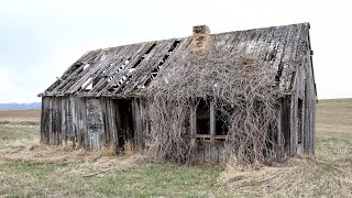 Metal Detecting Abandoned Houses amp Old School BIG MONEY [upl. by Negroj103]