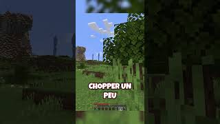 PETIT FERS  gamingfrance minecraft minecraftfr youtubefrance [upl. by Trask18]