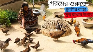 মুরগির বাচ্চা সুস্থ রাখার উপায় 2024। মুরগির বাচ্চা একটাও মরবে না। [upl. by Cutcliffe217]