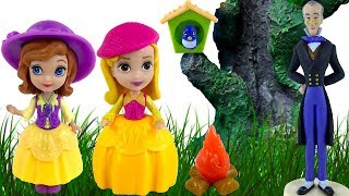 DISNEY JUNIOR SOFIA INTAI AVENTURA CERCETASELOR CU SOFIA SI PASARICA MIA  BUTTERCUP TROOP ADVENTURE [upl. by Nahallac381]