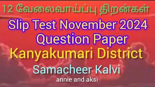 12th Employability skills tamil medium Slip test question paper november 2024 kanyakumari district [upl. by Jenny19]