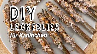 Diy Kaninchen Leckerlie Knabberstangen selber machen l Lenatur [upl. by Atekin346]