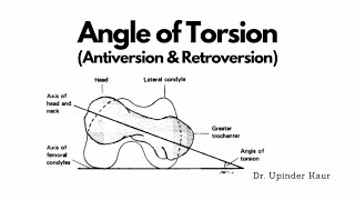 Angle of Torsion [upl. by Lerret675]