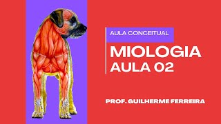 Miologia Veterinária aula 02  Live Teorica de Anatomia Animal 20241 [upl. by Idnahc]