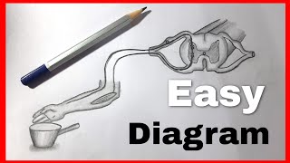 Reflex Arc diagram  Step by step  Science Diagram Class 10 Biology [upl. by Trebliw776]