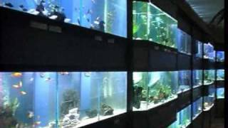 Der Aquaristik Laden [upl. by Griseldis]