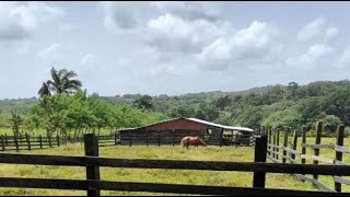 Finca Plana y Bordeada Por un Río en Venta20242402 [upl. by Esital]