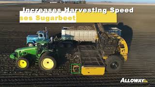 Alloway HV 12R22 Sugarbeet Harvester [upl. by Natsud]